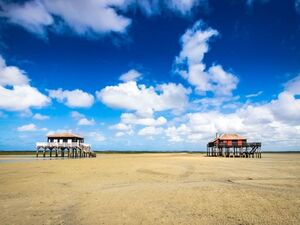 Chirurgien-Dentiste (H/F)_LA TESTE DE BUCHE