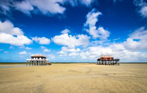 Chirurgien-Dentiste (H/F)_LA TESTE DE BUCHE