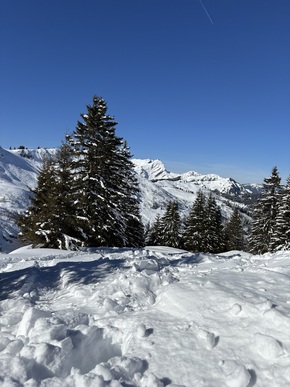 Recherche chirurgien-dentiste H/F