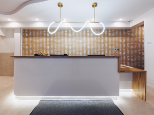 Chirurgien-Dentiste poste idéal  H/F