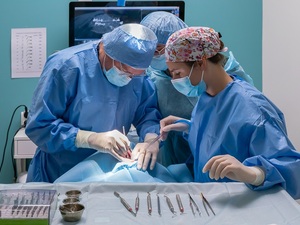 Chirurgien-Dentiste H/F - Grand Lyon