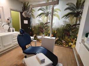 RECHERCHE CHIRUGIEN DENTISTE SALARIE (H/F) POUR THANN (68)